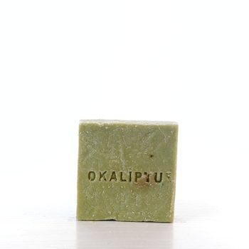 Okaliptus Sabunu